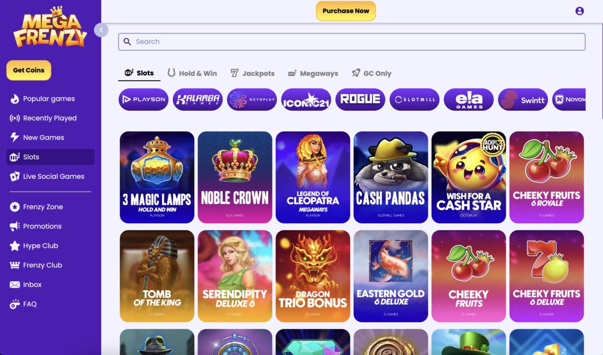 Mega Frenzy Casino Slots Screenshot