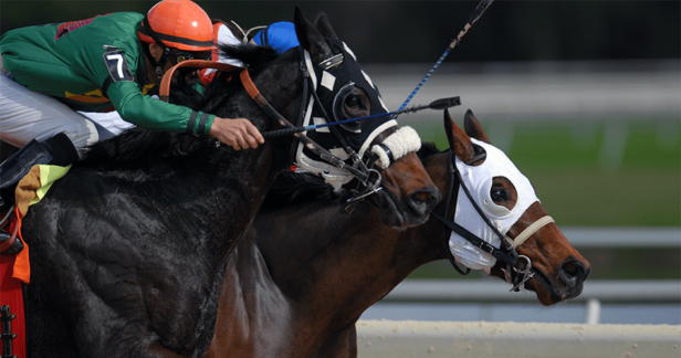 Betr Pulls Out of Race for Western Australia Tab License at Last Minute