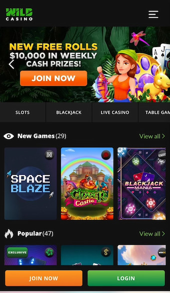 Wild Casino mobile homepage