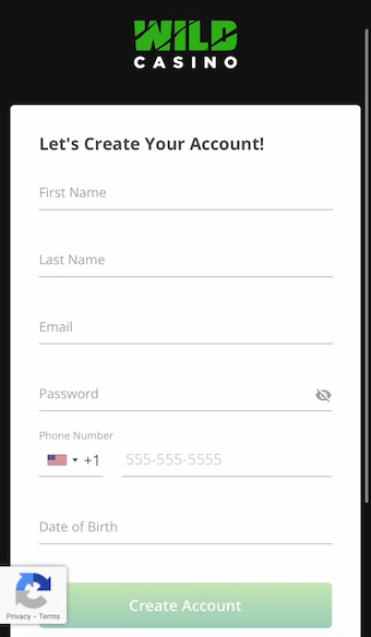 Wild Casino's registration screen
